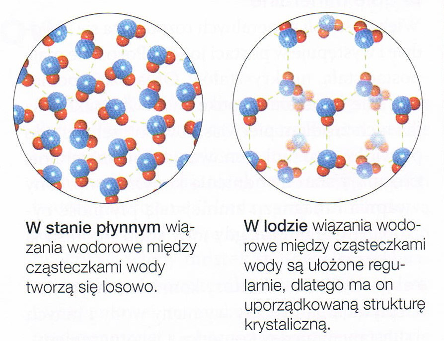 woda w stanie płynnym