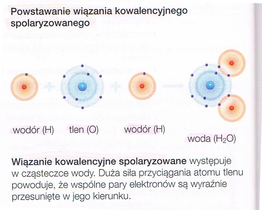 wiazanie_kowalnecyjne_spolaryzowane