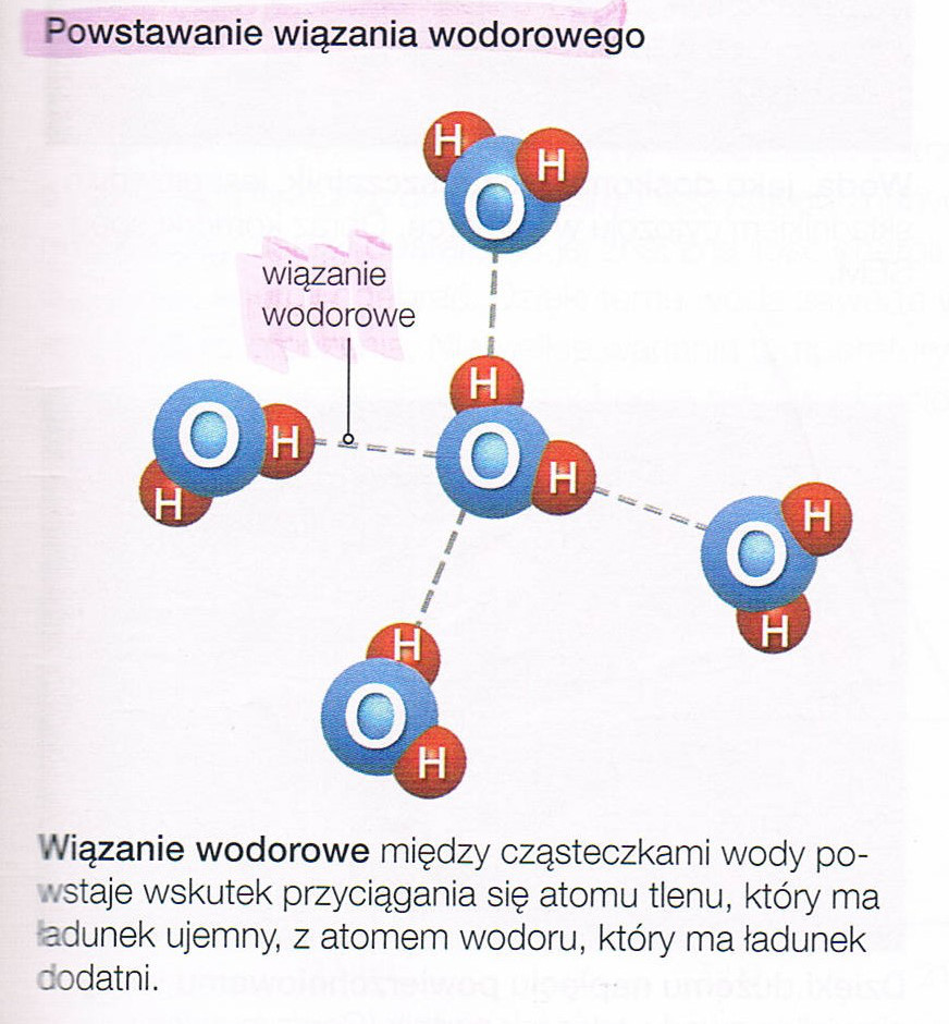 wiązania wodorowe